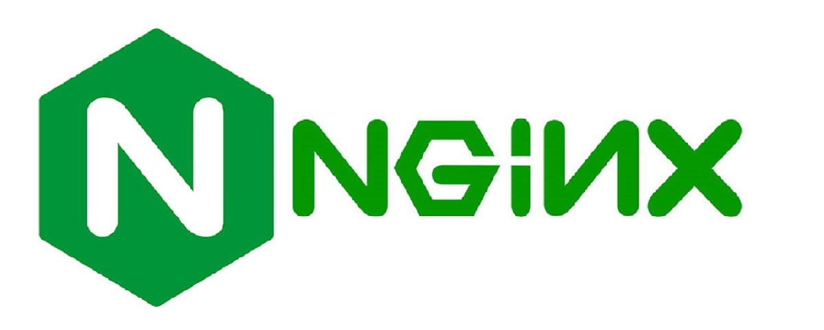 教你快速在debian安装Nginx环境教程