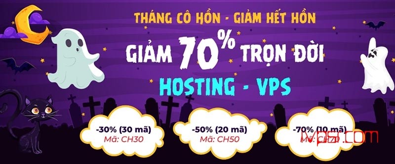 VinaHost：越南VPS、泰国/VPS,不限流量，最低3折优惠数量有限 不限流量VPS 第1张